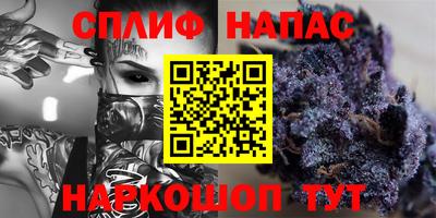 стаф Пугачёв