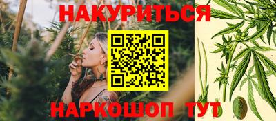 крисы Пыть-Ях