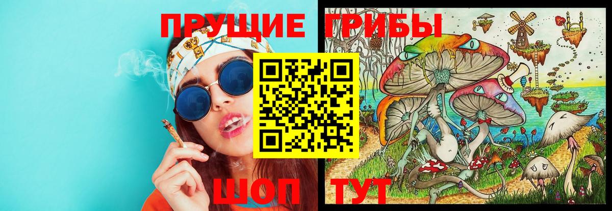 Псилоцибиновые грибы ЛСД Сызрань